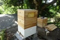 A newly-constructed modern flow hive being assembled at an apiary in the Caribbean