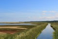 Salt Marshes of Cley