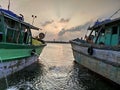 Clicked at Kasimedu N4 Fishing Harbour