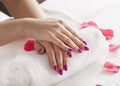 Rose petals around the beautiful hands Royalty Free Stock Photo