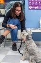 Client waiting with her pet in a veterinary clinic