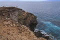Clif in Callo salvaje, Tenerife Canary islands