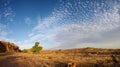 Cliff of Bandiagara in Dogon Land Royalty Free Stock Photo