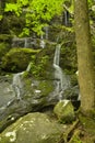 Cliff Branch Falls, Great Smoky Mtns NP Royalty Free Stock Photo