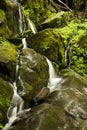 Cliff Branch Falls, Great Smoky Mtns NP, TN Royalty Free Stock Photo