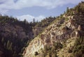 A cliff covered in trees. The cliff is in the sunlight and the rocks are warm brown, with shadows hitting the cracks and fissures.