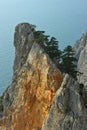 Cliff of Crimea.