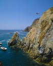 Cliff Diver Acapulco Mexico Royalty Free Stock Photo