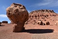 Cliff Dwellers in Arizona