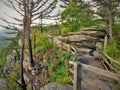 Cliff Edge at Pilot Mountain State Park Royalty Free Stock Photo