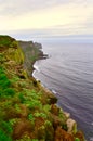 Cliff, Grimsey