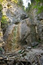 Cliff with ladder in Slovak Paradise Royalty Free Stock Photo