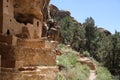 Cliff Palace, Mesa Verde National Park, Colorado Royalty Free Stock Photo