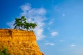Cliff with pine trees and Greek flag on the top Royalty Free Stock Photo