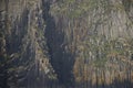 Cliff on Popof Island Sand Point Alaska