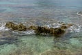 Cliff, Rocks by the Mediterranean sea on the island of Ibiza in Royalty Free Stock Photo