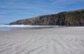 A cliff at the Sandfly Bay Beach in the Otago Peninsula near Dunedin in New Zealand