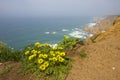 Cliff on the sea at Cabo de Roca