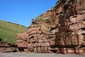 Cliff, shingle beach, Fleswick Bay, St Bees Head Royalty Free Stock Photo