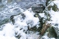 Cliff Shore of the river in winter seasonal landscape Royalty Free Stock Photo