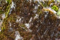 Cliff surface covered red with green moss Royalty Free Stock Photo