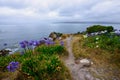 Rotary Park Lookout, Eden, NSW Royalty Free Stock Photo