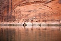 Cliff Walls Glen Canyon, Arizona Royalty Free Stock Photo