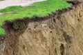 Swallow nests in cliffs along the Hohe Ufer, Wustrow, Germany