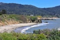 Ano Nuevo Coast with Elephant Seals on Sheltered Beaches, California Royalty Free Stock Photo