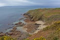 Cliffs and beach along rock coast of howth , ireland