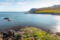 Cliffs and beach in Borgarfjordur Eystri, Iceland, inhabitated by beautiful Puffin birds, wandering around the place on a summer