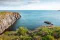 Cliffs and beach in Borgarfjordur Eystri, Iceland, inhabitated by beautiful Puffin birds, wandering around the place on a summer