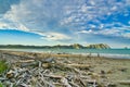 Cliffs and beach with driftwood, Tolaga Bay, New Zealand Royalty Free Stock Photo