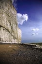 The cliffs at Birling Gap beach Royalty Free Stock Photo