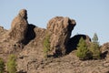 Cliffs and Canary Island pines.