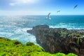 The cliffs on the coast of the Atlantic Ocean. Ocean waves, Casc