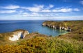 Cliffs of Flamborough, Yorkshire, Great Britain.