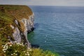 Cliffs of Flamborough, Yorkshire, Great Britain.