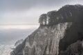 Cliffs and Forests of Jasmund, Germany Royalty Free Stock Photo