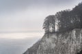 Cliffs and Forests of Jasmund, Germany Royalty Free Stock Photo
