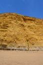 Cliffs at Hive Beach on the Jurassic Coast, Dorset