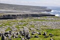 Cliffs in Inishmore, Aran islands, Ireland