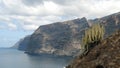 Cliffs of Los Gigantes