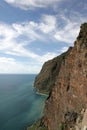 Cliffs of Madeira