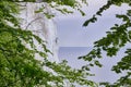 Cliffs at moen denmark with green leaves Royalty Free Stock Photo