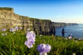 Cliffs Of Moher