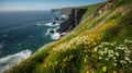 Cliffs of Moher in County Clare, Ireland. Beautiful spring landscape