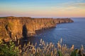 The Cliffs of Moher Royalty Free Stock Photo