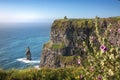 The Cliffs of Moher Royalty Free Stock Photo