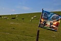 Cliffs of Moher, edge of the Burren region, County Clare, Ireland